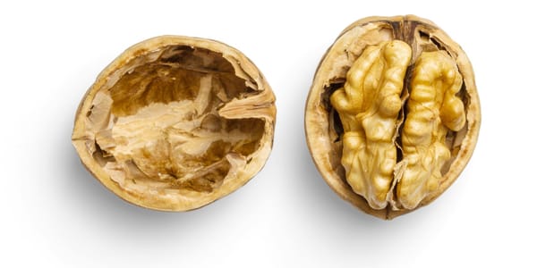 A single cracked walnut. The halves split and positioned next to each other. One half empty and one half with the walnut.